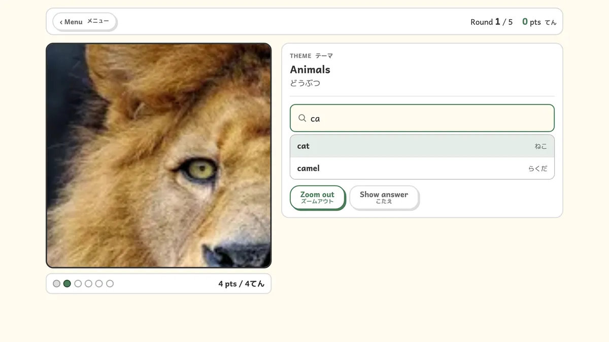Zoom Quiz screenshot