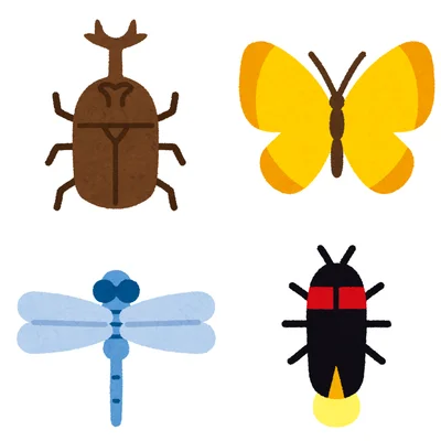 bugs