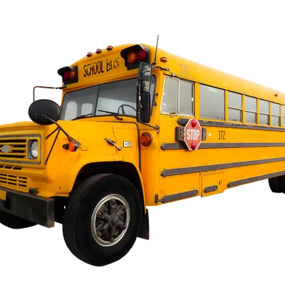 bus