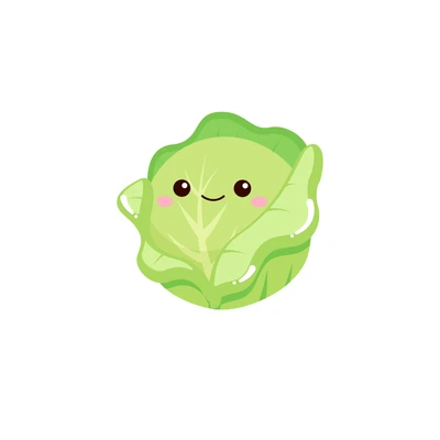 cabbage