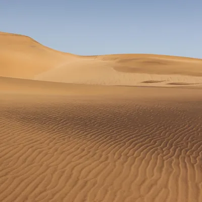 desert