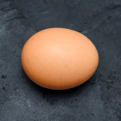 egg