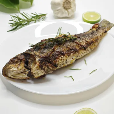 fish