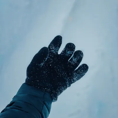 gloves
