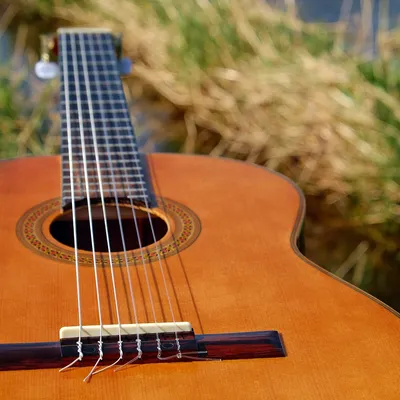 guitar
