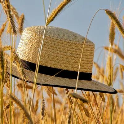 hat