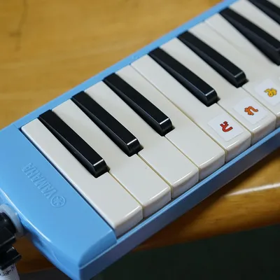 keyboard harmonica