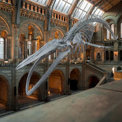 museum