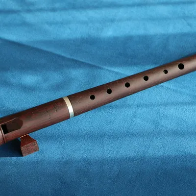 recorder