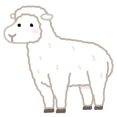 sheep