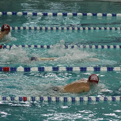 swimming meet
