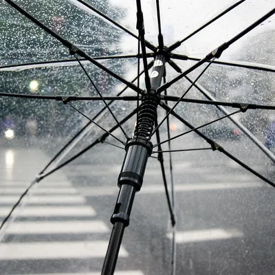 umbrella
