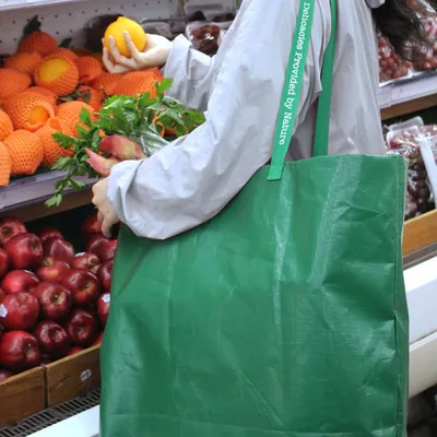 use eco-friendly bags