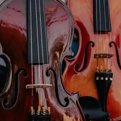 violin
