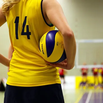 volleyball team