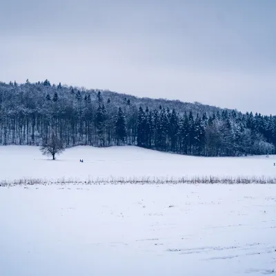 winter